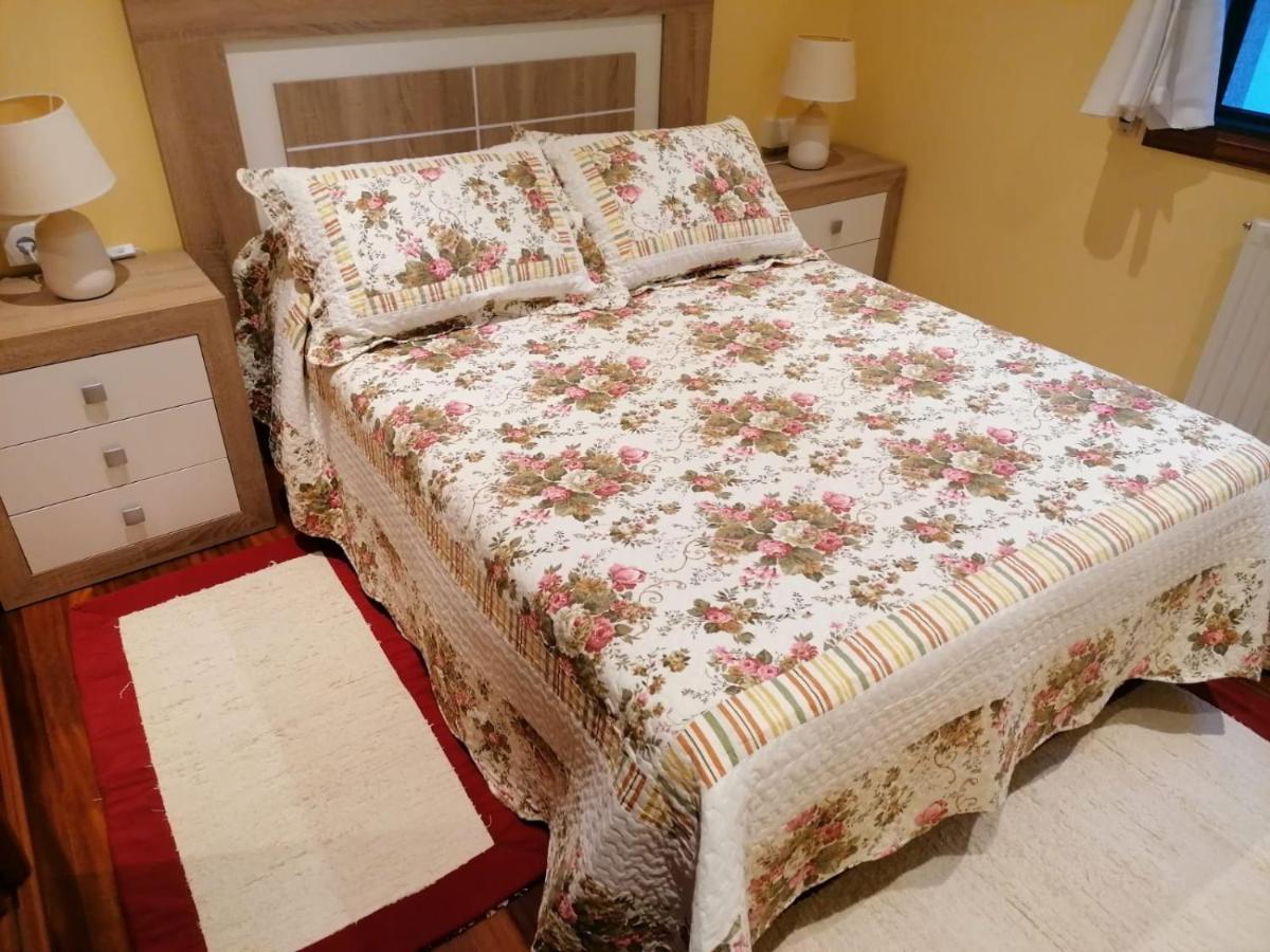 Piso As Camelias Apartment Pontevedra Luaran gambar