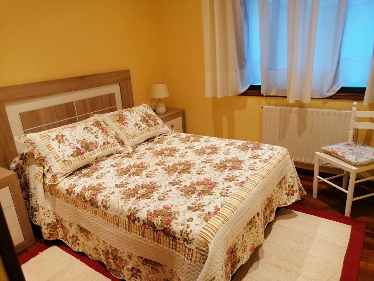 Piso As Camelias Apartment Pontevedra Luaran gambar
